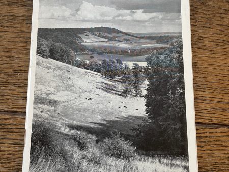 Box Hill, Surrey by G. E. Hutchings Discount