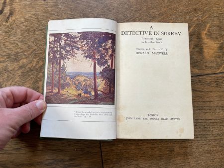 A Detective in Surrey by Donald Maxwell Online now