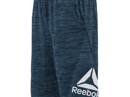 Reebok Boys  Big Logo Training Shorts For Sale