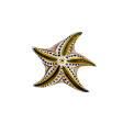 Earth Starfish Ornament Cheap