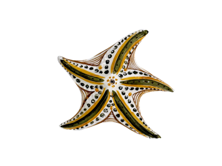 Earth Starfish Ornament Cheap