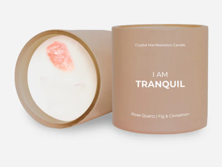 JILL AND ALLY 14oz Tranquil Candle with Rose Quartz Crystal – Fig & Cinnamon Online