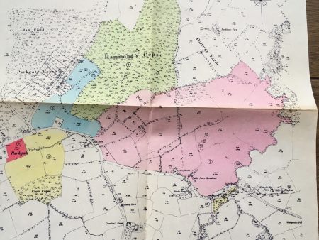 Map of the Jayes Estate, Newdigate and Leigh 1965 Sales Particulars Online Sale