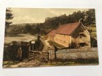 Vintage Postcard of Entrance to Woods, Friday Street - Surrey For Discount