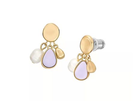 Ladies  Earrings Skagen SKJ1716710 Online Hot Sale