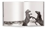 Horses by Derry Moore – Hardcover Photography Book For Discount