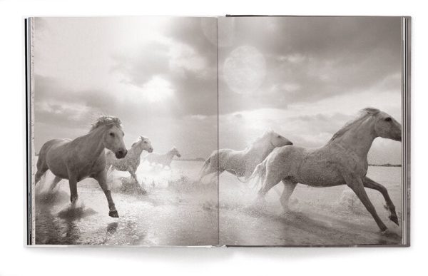 Horses by Derry Moore – Hardcover Photography Book For Discount